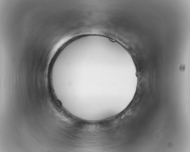 X0000093390200200711011318