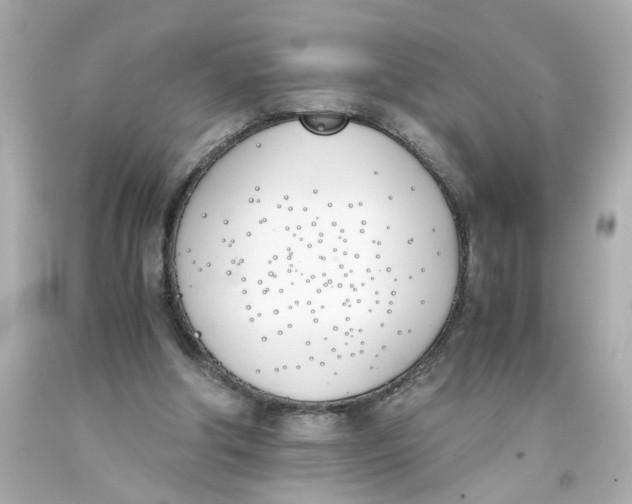 X0000093390202200711011318