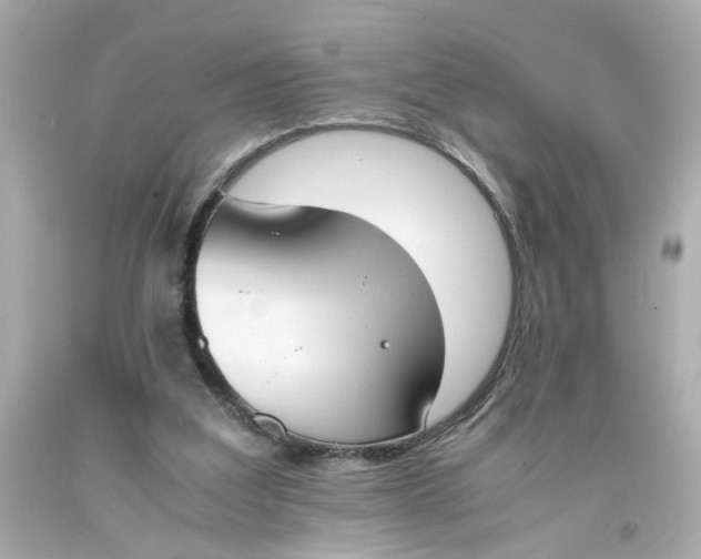 X0000093390203200711011318