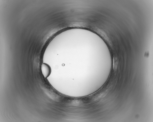 X0000093390204200711011318