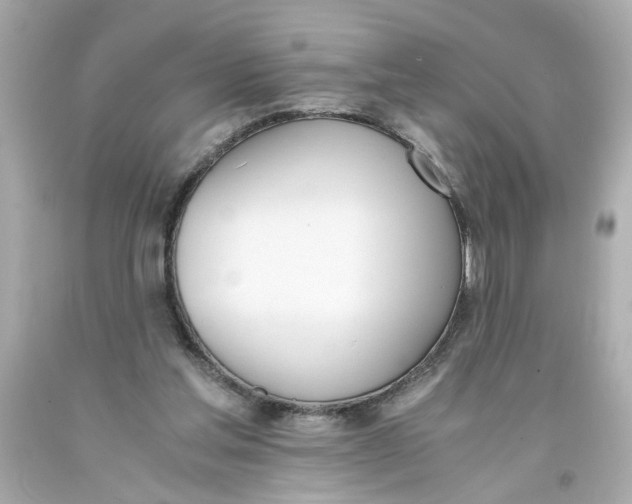 X0000093390205200711011318