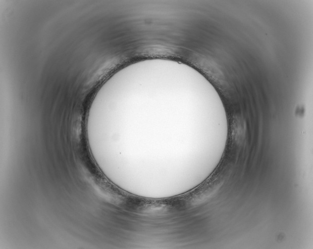 X0000093390206200711011318