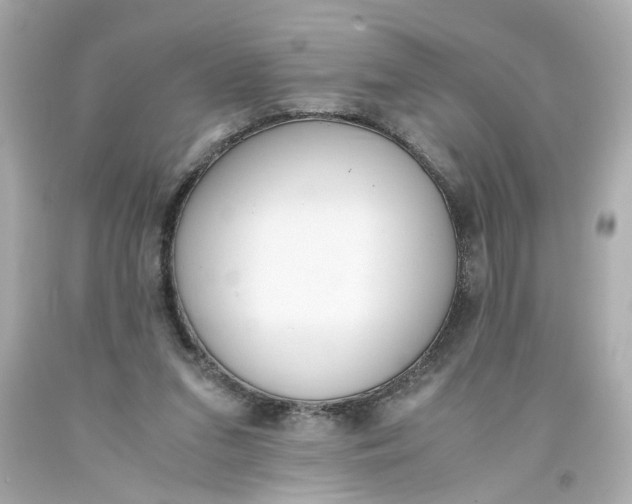 X0000093390207200711011318