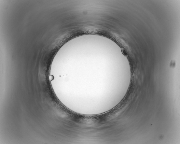 X0000093390209200711011318