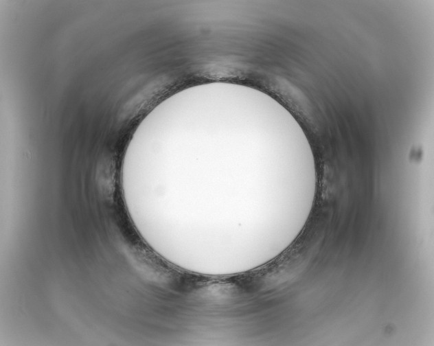 X0000093390210200711011318