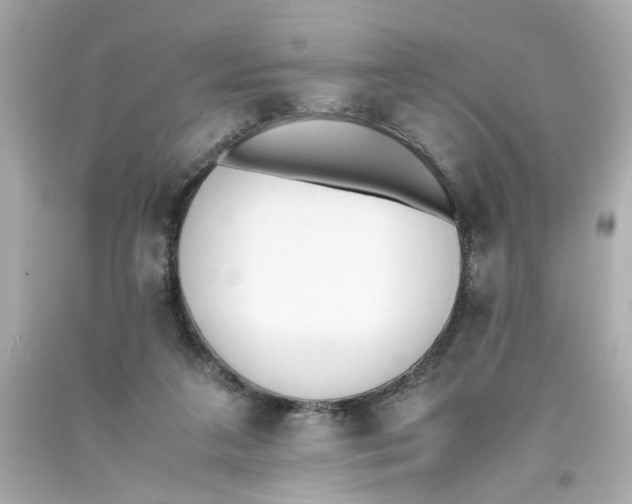 X0000093390211200711011318