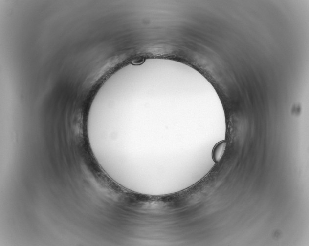 X0000093390212200711011318