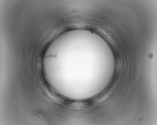 X0000093390213200711011318