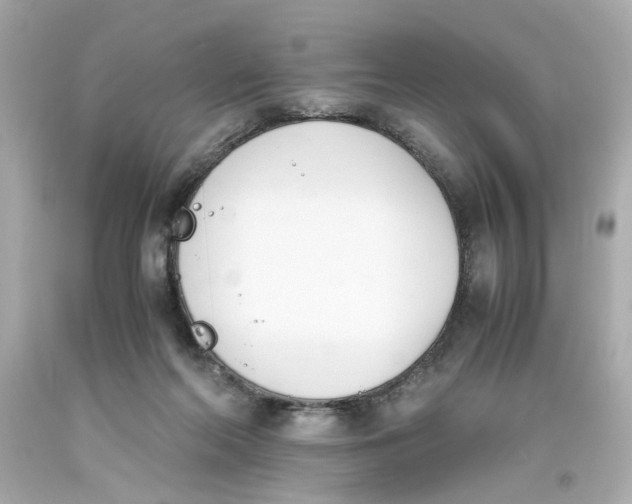 X0000093390214200711011318