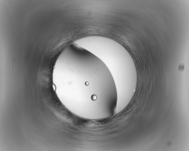 X0000093390215200711011318