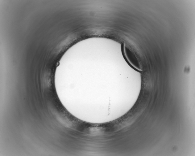 X0000093390216200711011318