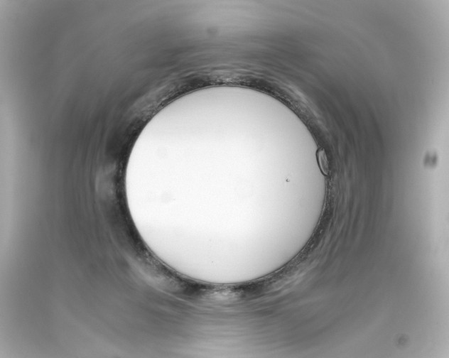 X0000093390217200711011318