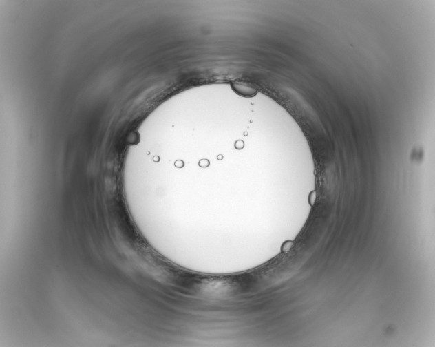 X0000093390218200711011318