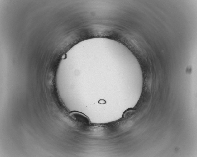 X0000093390219200711011318