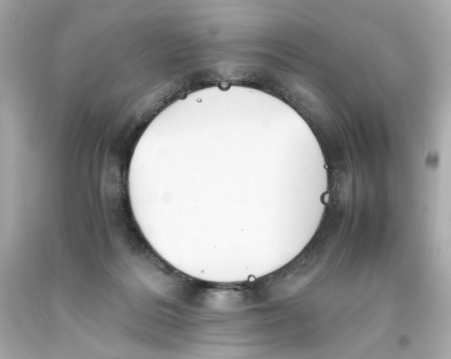 X0000093390220200711011318