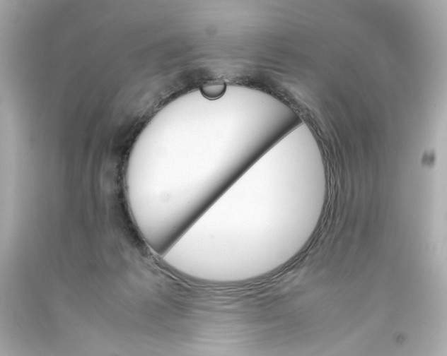 X0000093390221200711011318