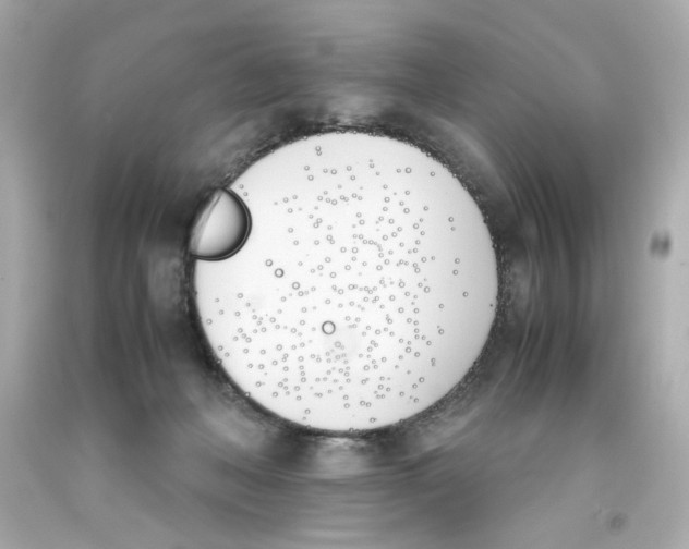 X0000093390222200711011318