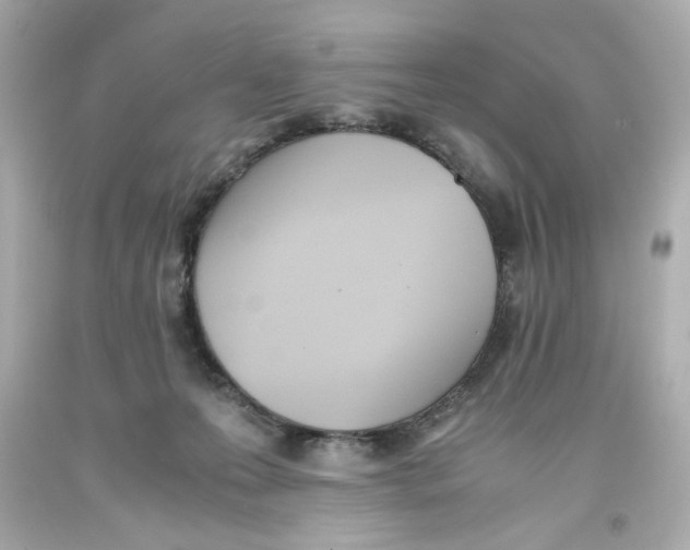 X0000093390223200711011318