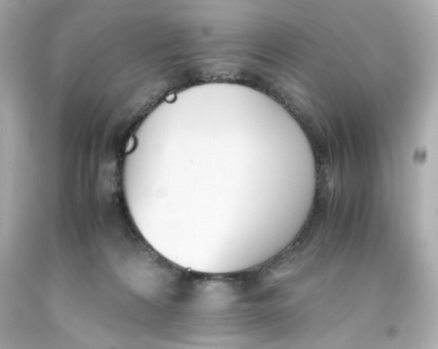 X0000093390224200711011318