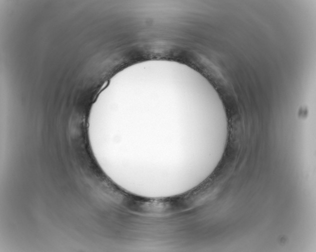 X0000093390225200711011318