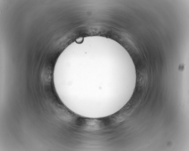 X0000093390226200711011318