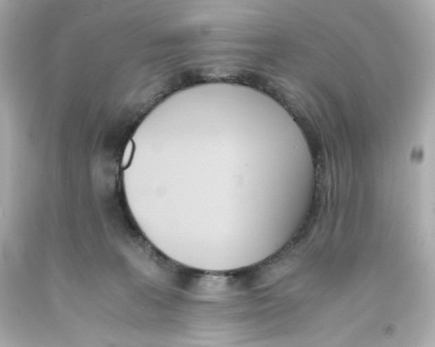 X0000093390227200711011318