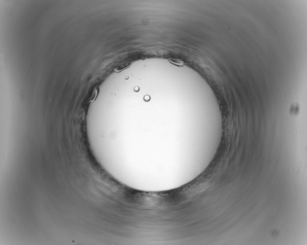 X0000093390229200711011318