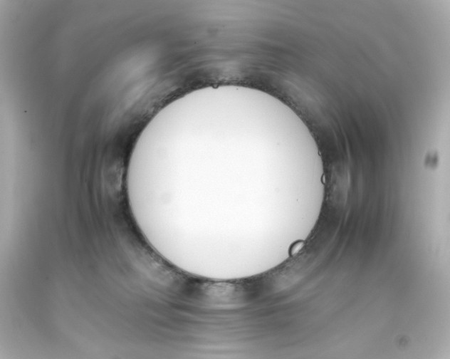 X0000093390230200711011318