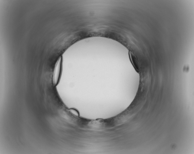 X0000093390231200711011317