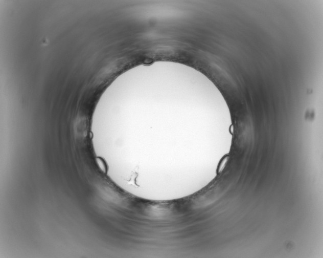 X0000093390232200711011317