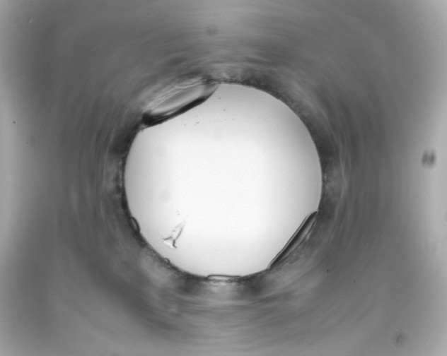 X0000093390233200711011317