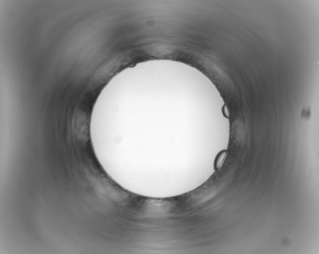 X0000093390234200711011317