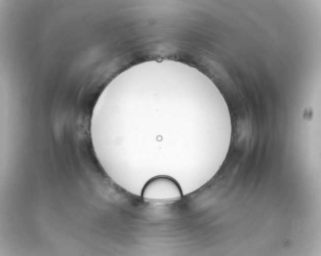 X0000093390236200711011317