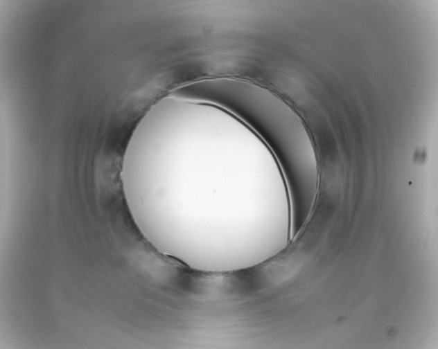 X0000093390237200711011317