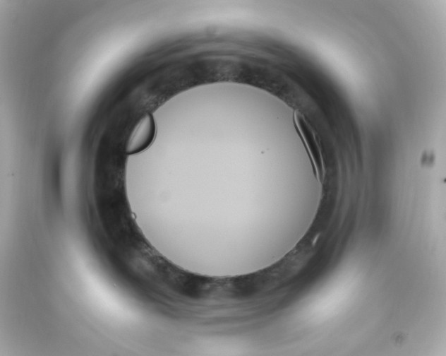 X0000093390239200711011317