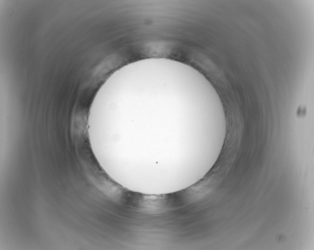 X0000093390240200711011317