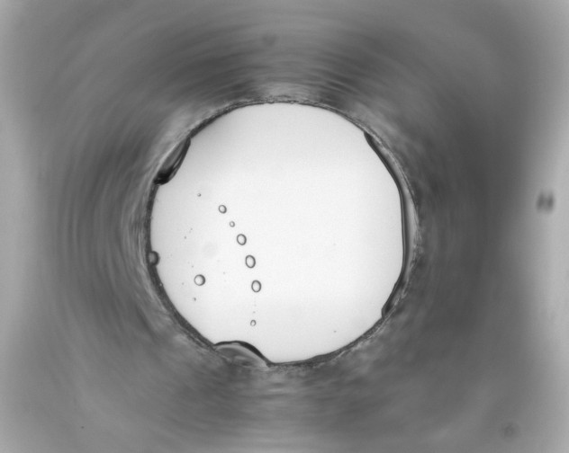 X0000093390241200711011317