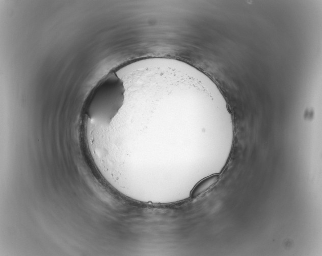 X0000093390242200711011317