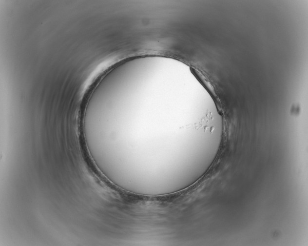 X0000093390244200711011317