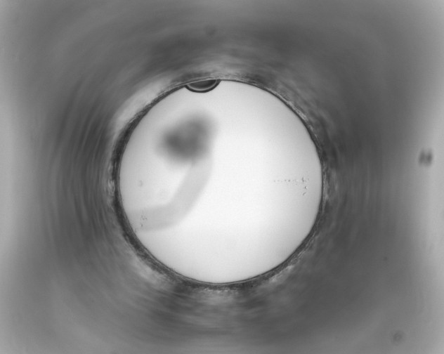 X0000093390245200711011317