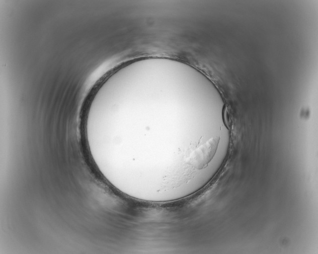 X0000093390246200711011317