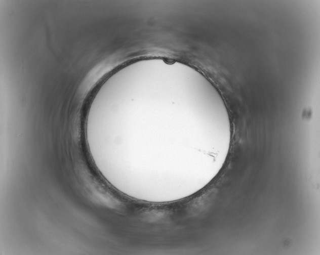 X0000093390247200711011317