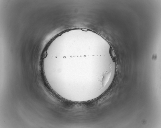 X0000093390248200711011317