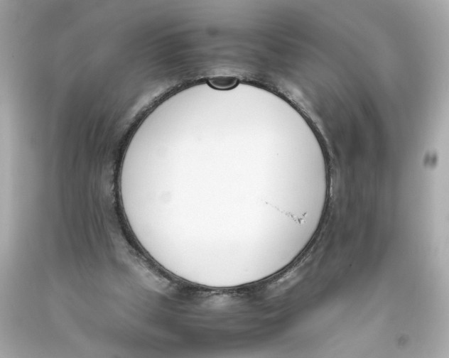 X0000093390249200711011317