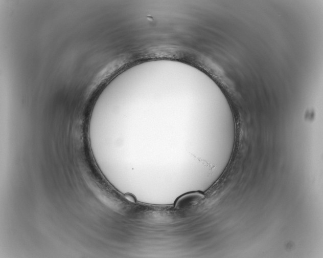 X0000093390250200711011317