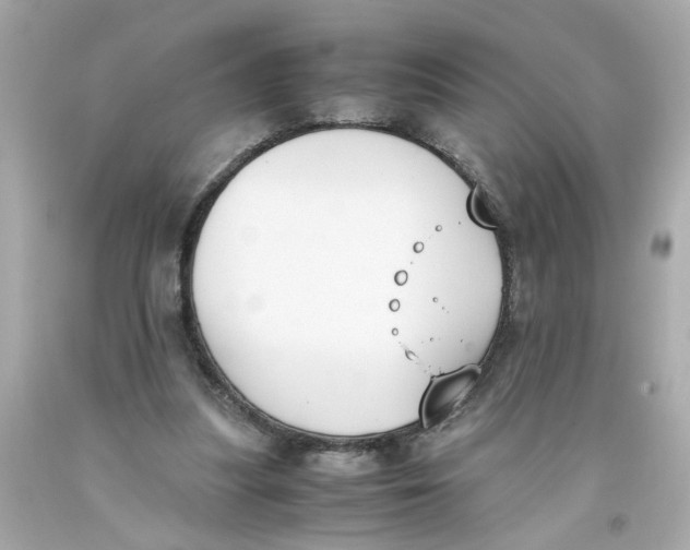 X0000093390251200711011317