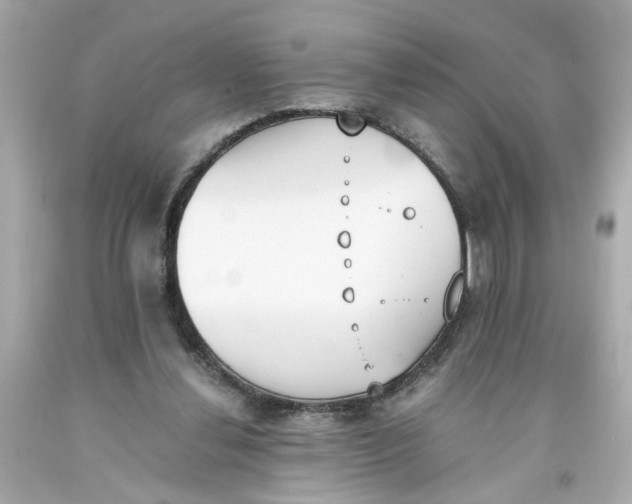 X0000093390252200711011317