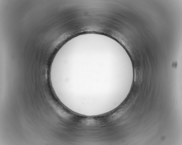 X0000093390253200711011317