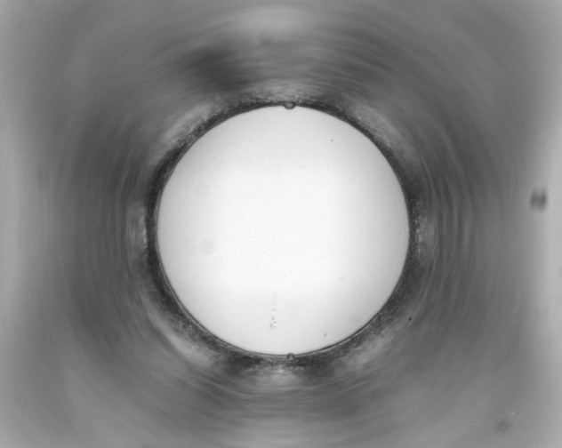 X0000093390254200711011317