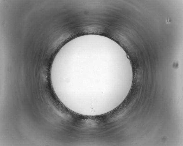 X0000093390255200711011317